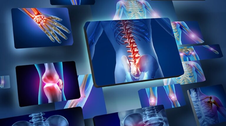 Screenshot 2024-08-22 061520